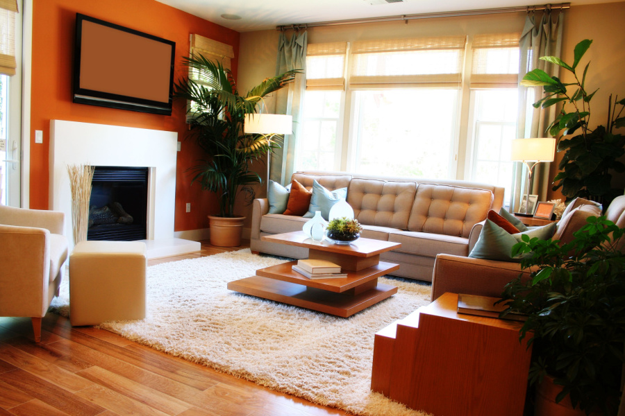 Area Rug Stores Near Me Olivette, MO | Olivette, MO Area Rugs | Rugs by Saga